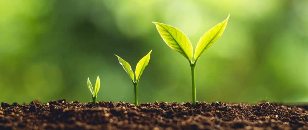 Lifestyle Financial Planning belangrijke punten Financial Life Planning